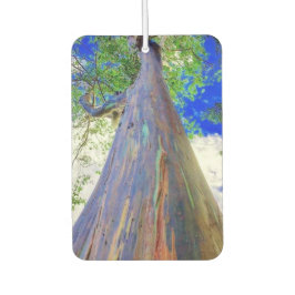 Raqinbow Eucalyptus Air Freshener Autolufterfrischer