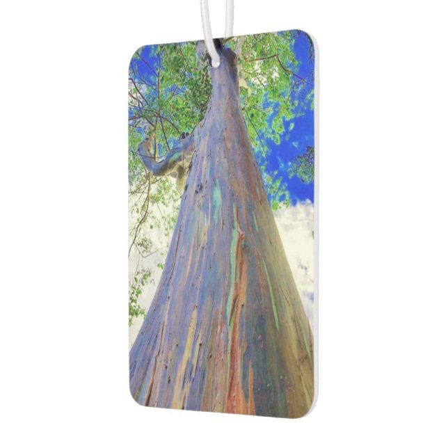 Raqinbow Eucalyptus Air Freshener Autolufterfrischer (Links)
