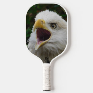 Raquette De Pickleball Aigle
