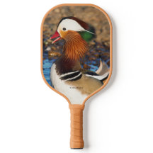 Belle Chatty Mandarin Canard à l'étang