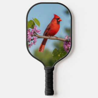 Raquette De Pickleball Cardinal sur une branche de Redbud