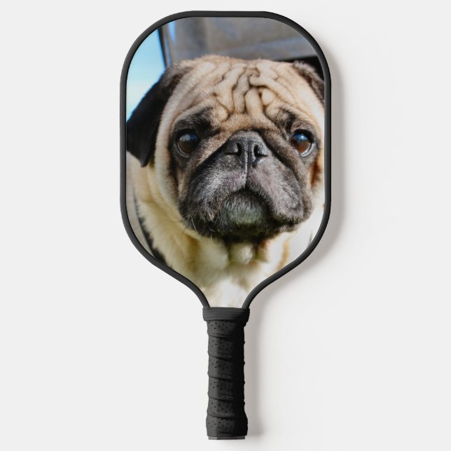 Raquette De Pickleball Carlin (Recto)