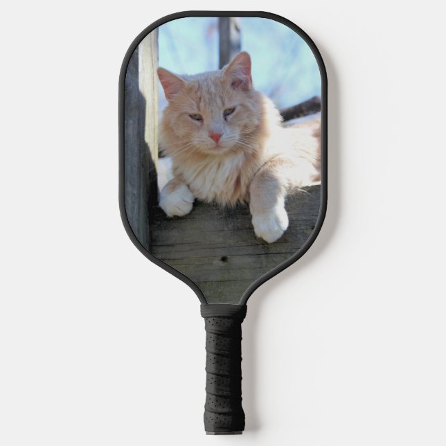 Raquette De Pickleball Cat (Recto)