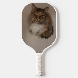 Raquette De Pickleball Chat