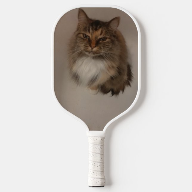 Raquette De Pickleball Chat (Recto)