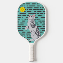 Chat drôle