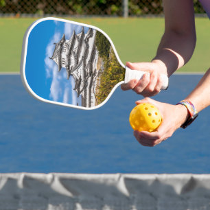 Raquette De Pickleball Château Himeji #5, Japon