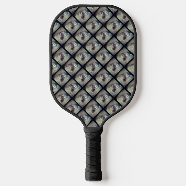 Raquette De Pickleball Collage de chats par Shirley Taylor (Recto)