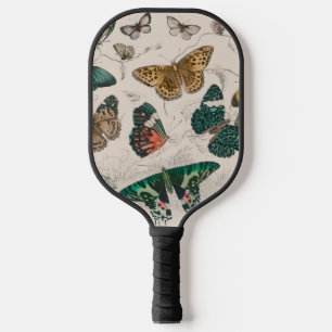 Raquette De Pickleball collection papillon aquarelle antique art beurre