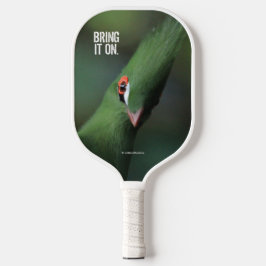 Raquette De Pickleball Drôle Curieux Guinée Turaco Oiseau Vert