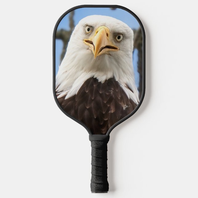 Raquette De Pickleball Funny Bald Eagle Visage Faune Photographie (Recto)