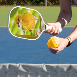 Raquette De Pickleball Il est temps de construire le nid