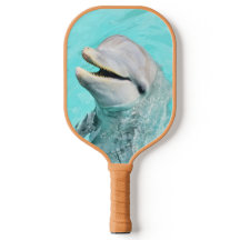 Joyeux dauphin souriant