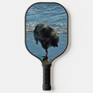 Raquette De Pickleball Keeshond Ballet Photographie - Joli chien d'origin