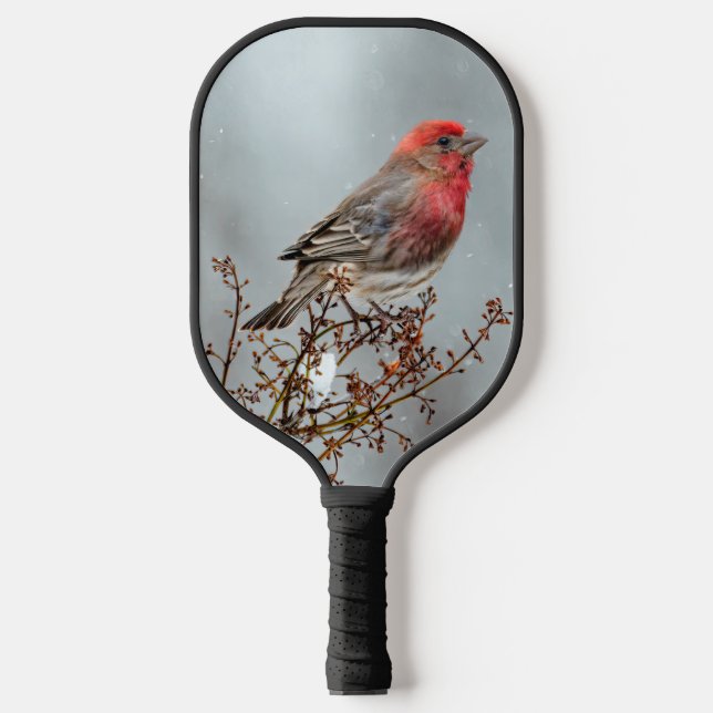 Raquette De Pickleball Maison Finch en Neige - Photo originale (Recto)