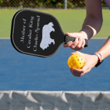 Mère Du Roi Cavalier Charles Spaniel Argent