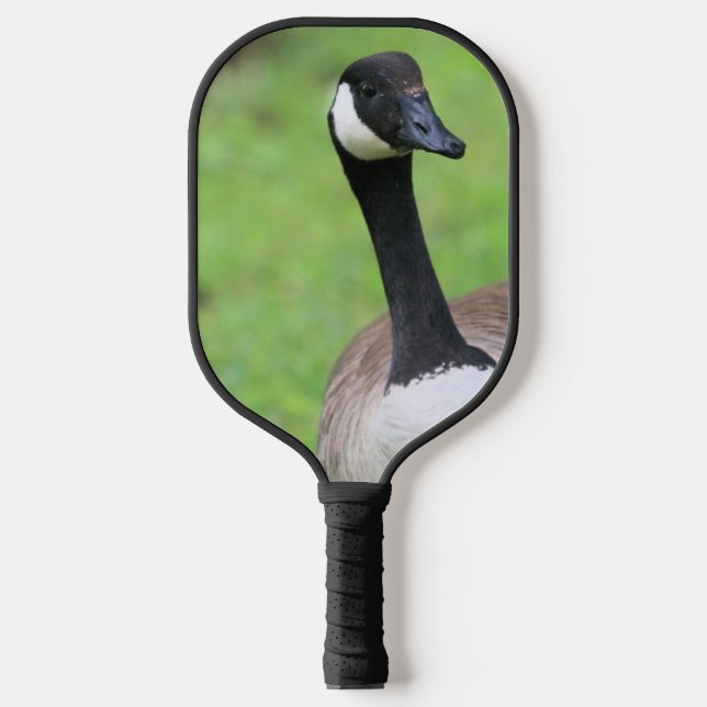Raquette De Pickleball Oie canadienne (Recto)