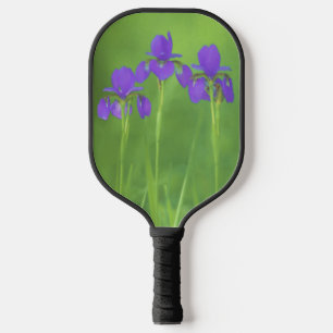 Raquette De Pickleball Peinture Iris Violet - Art Fleur Originale