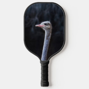Raquette De Pickleball Photographie d'autruche