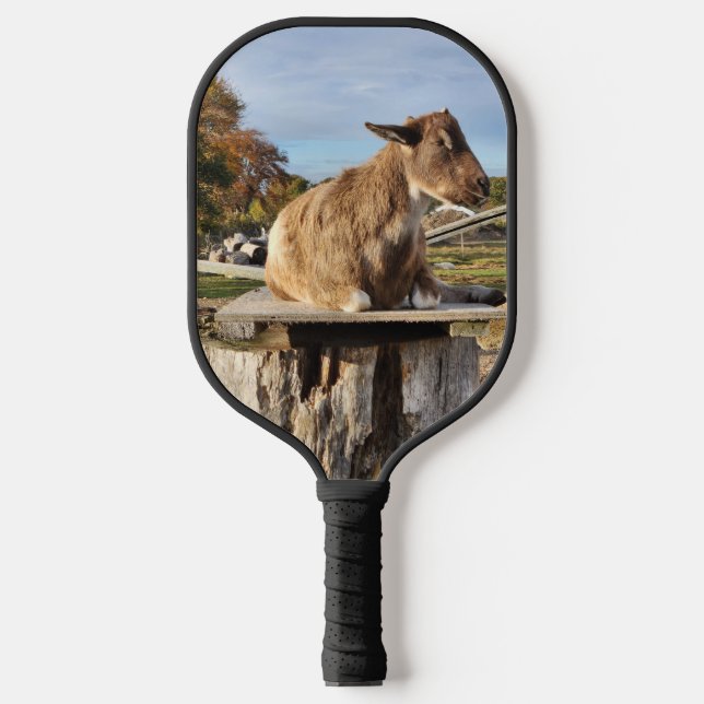 Raquette De Pickleball Pickleball Paddle "Chèvre" (Recto)