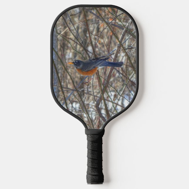 Raquette De Pickleball Robin américain (Recto)