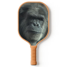 Singe