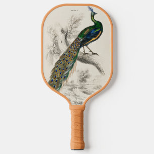 Raquette De Pickleball Vintage Peacock Histoire naturelle Imprimer