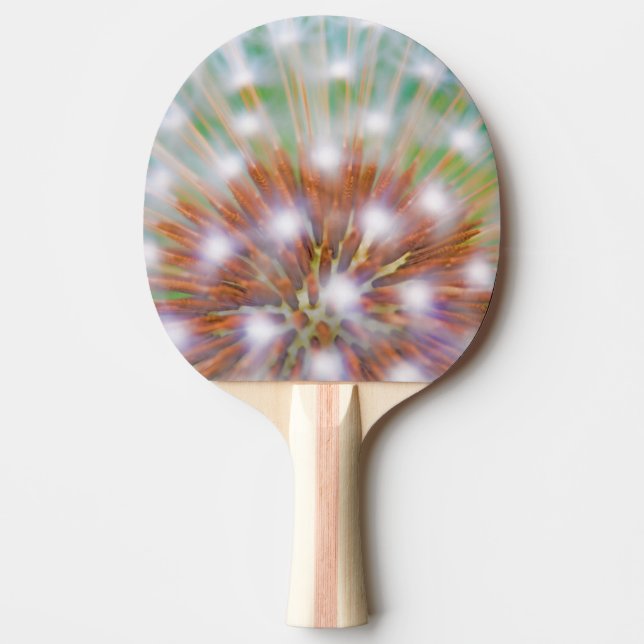 Raquette De Ping Pong Abstrait de la tête de semence de dandelion (Devant)
