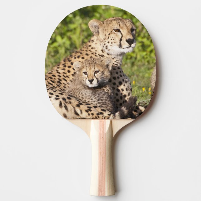 Raquette De Ping Pong Afrique. Tanzanie. Cheetah mère et petits 2 (Devant)