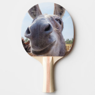 Raquette De Ping Pong Âne souriant gris comique