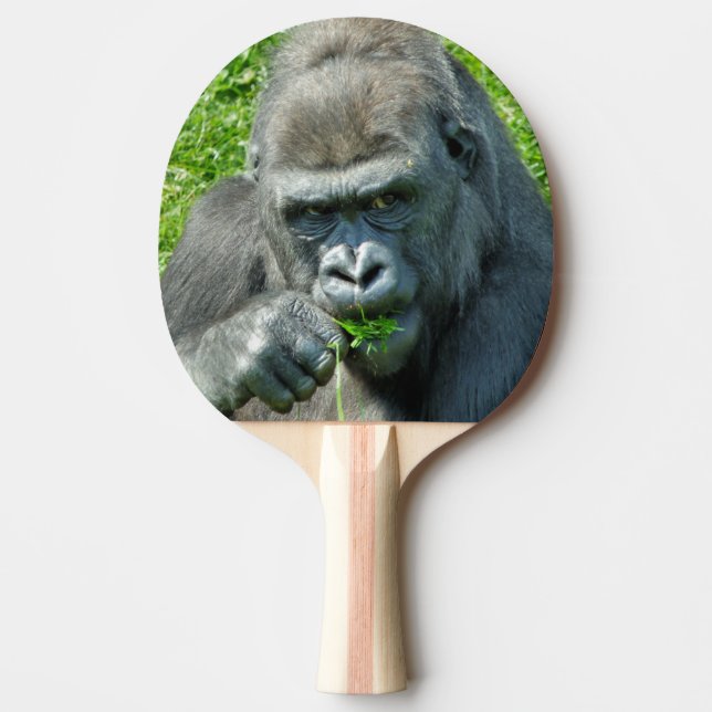 RAQUETTE DE PING PONG ANIMAUX SAUVAGES - GORILLAS (Devant)