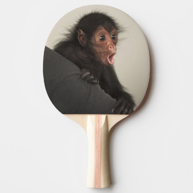 Raquette De Ping Pong Ateles paniscus à tête rouge) (Devant)