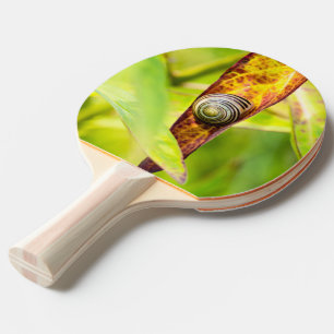Raquette De Ping Pong attachement calme