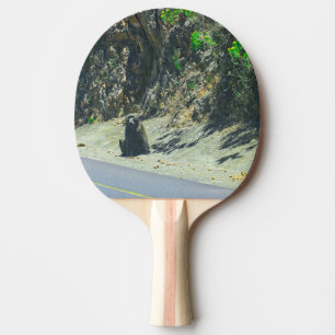 Raquette De Ping Pong Baboon animal sauvage Animaux