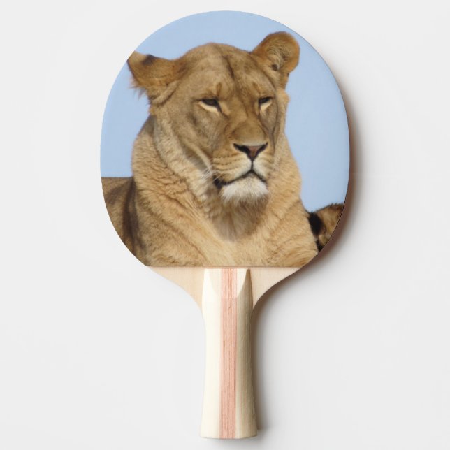 Raquette De Ping Pong Beau Lion reposant dans la nature (Devant)