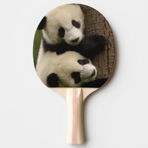 Raquette De Ping Pong Bébés pandas géants (Ailuropoda melanoleuca) 2