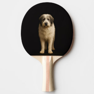 Raquette de ping pong Black 4 Luxe, berger Mioriti