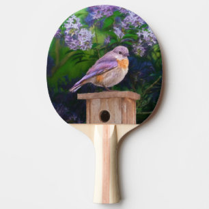 Raquette De Ping Pong Bleuet de l'Est en neige - Photo originale