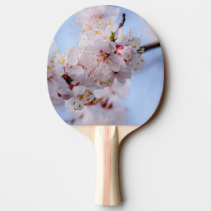 Raquette De Ping Pong Blossom des abricots japonais