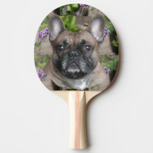 Raquette De Ping Pong Bouledogue français avec abeille