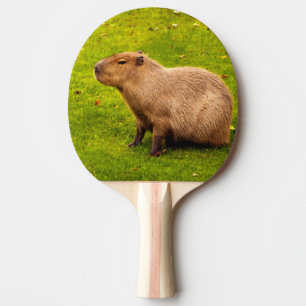 Raquette De Ping Pong Capybara