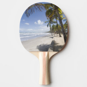 Raquette De Ping Pong Caraïbes - Trinité - Plage de Manzanilla sur