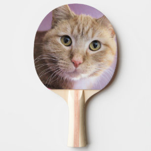 Raquette De Ping Pong Cat