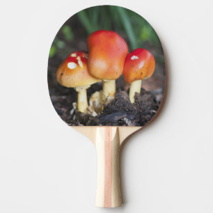 Raquette De Ping Pong champignon de la famille des Amanita