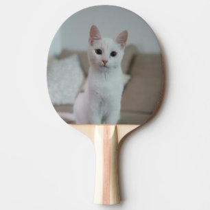 Raquette De Ping Pong chat blanc Zazzle_Growshop.