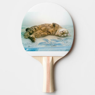 Raquette De Ping Pong chat japonais à queue courte brun tabby