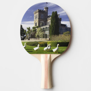 Raquette De Ping Pong Château Larnach, péninsule d'Otago, Dunedin,