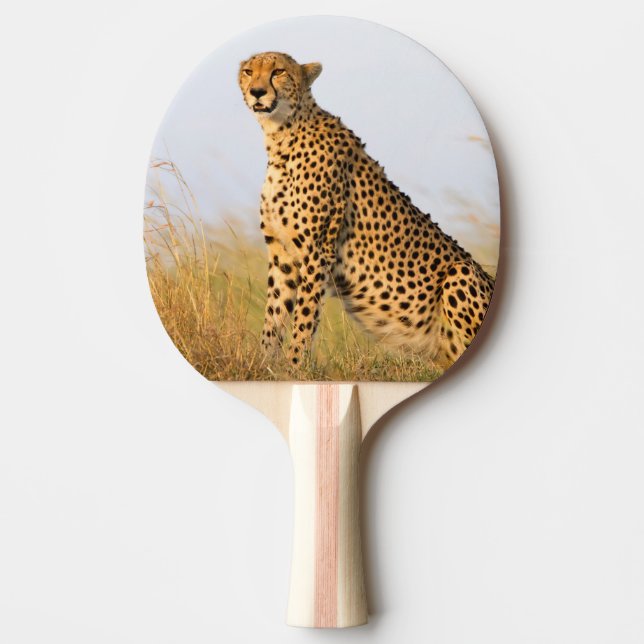 Raquette De Ping Pong Cheetah animal sauvage Big Cat (Devant)