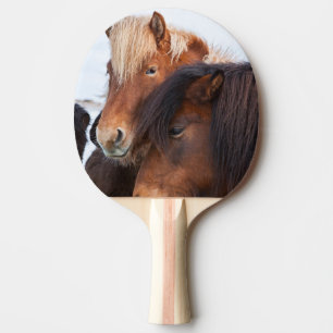 Raquette De Ping Pong Cheval islandais en hiver en Islande