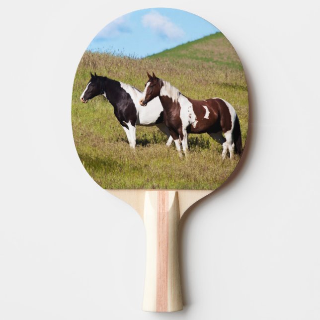 Raquette De Ping Pong Chevaux à flanc de colline (Devant)